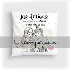 Cojín las amigas son la familia que se escoge.