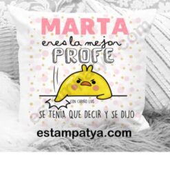 Cojin profe personalizado se tenia que decir y se dijo