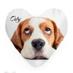 Cojin Personalizado corazón
